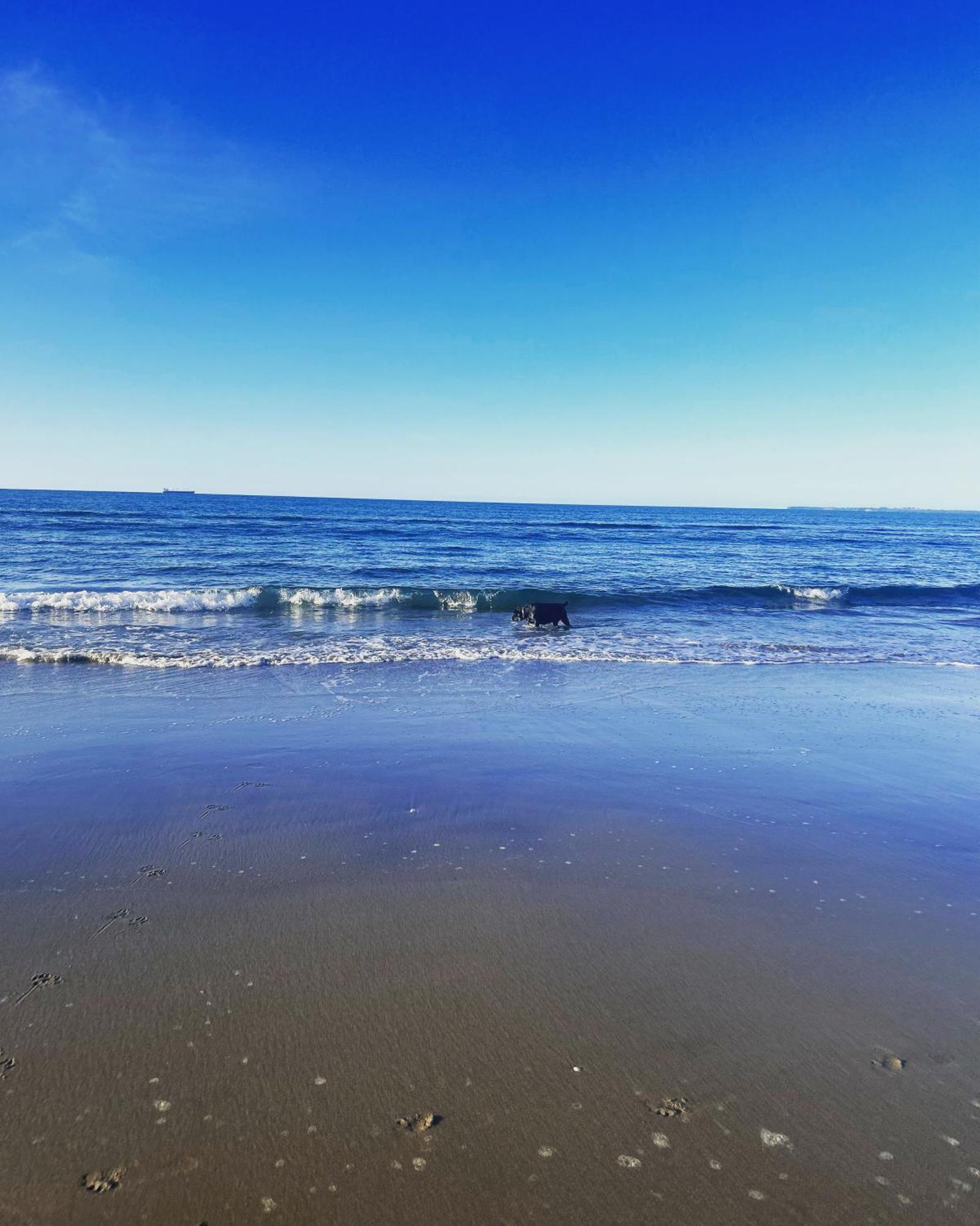 Beach Apartment 帕帕莫阿 外观 照片